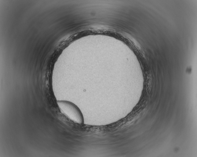 X0000116891016201001191801