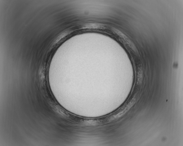 X0000116891017201001191801