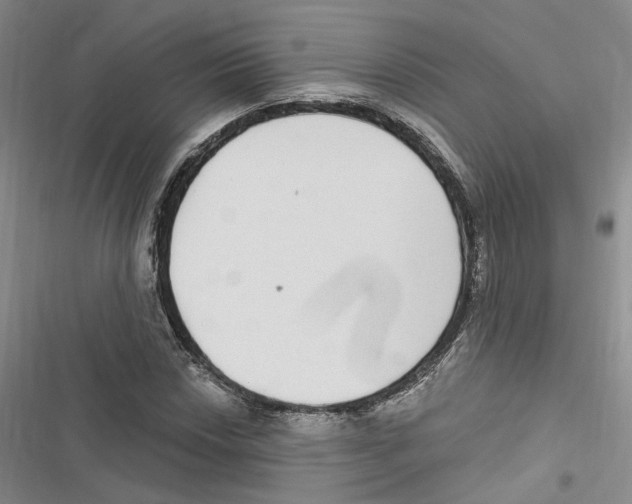 X0000116891018201001191801