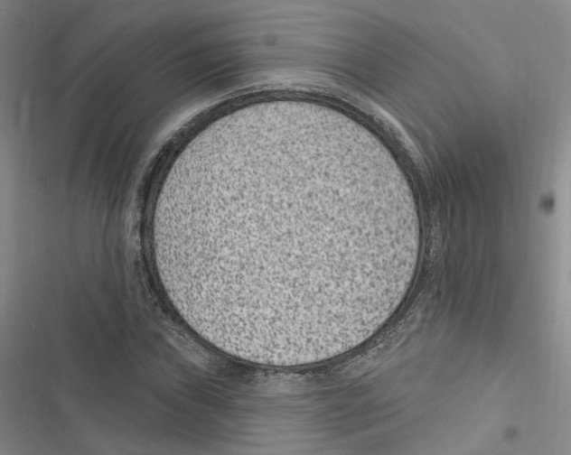 X0000116891019201001191801