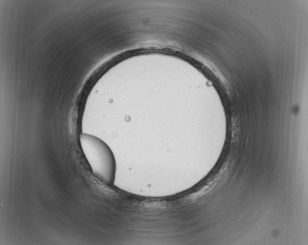 X0000116891021201001191801