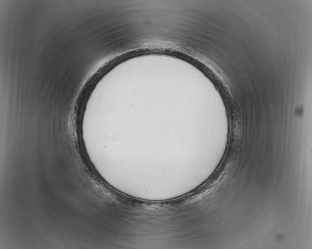 X0000116891022201001191801