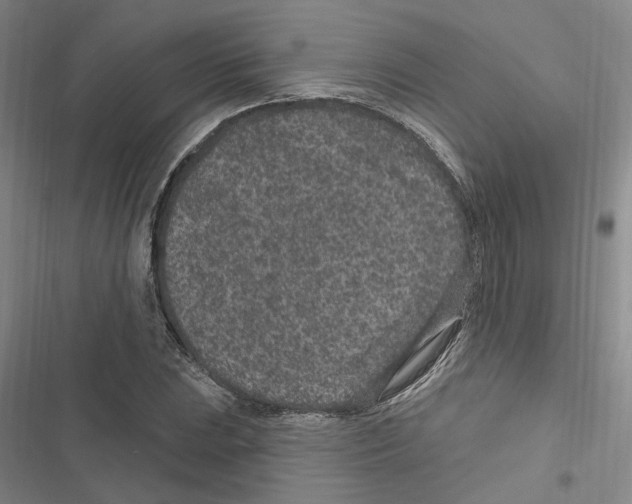 X0000116891023201001191801