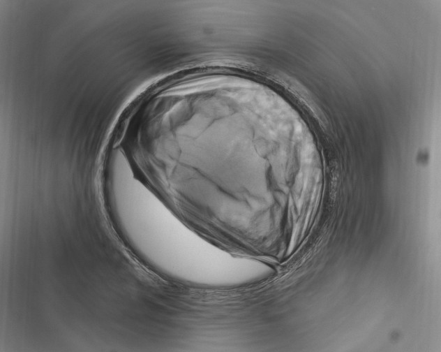 X0000116891024201001191801