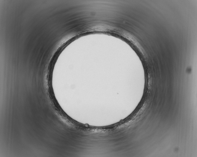 X0000116891026201001191801