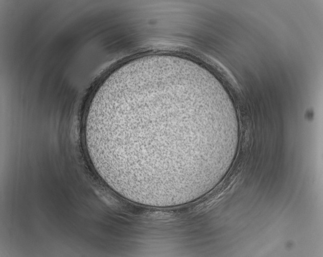 X0000116891027201001191801