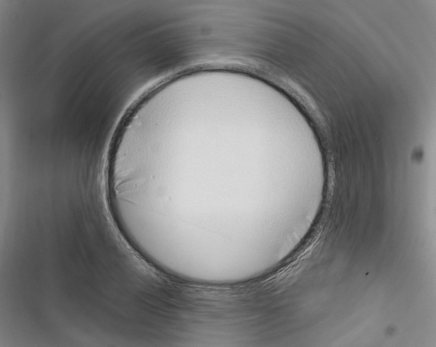 X0000116891028201001191801