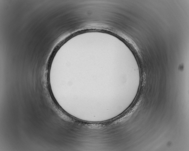 X0000116891029201001191801