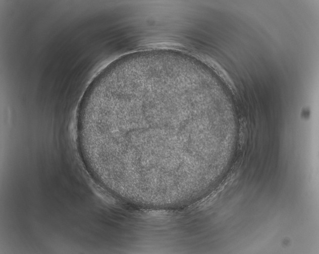 X0000116891031201001191801