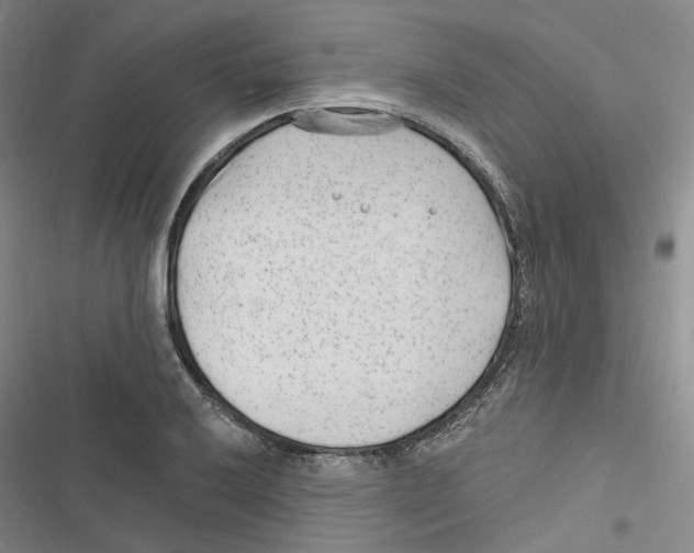 X0000116891032201001191801