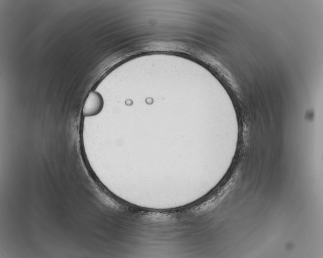 X0000116891033201001191801