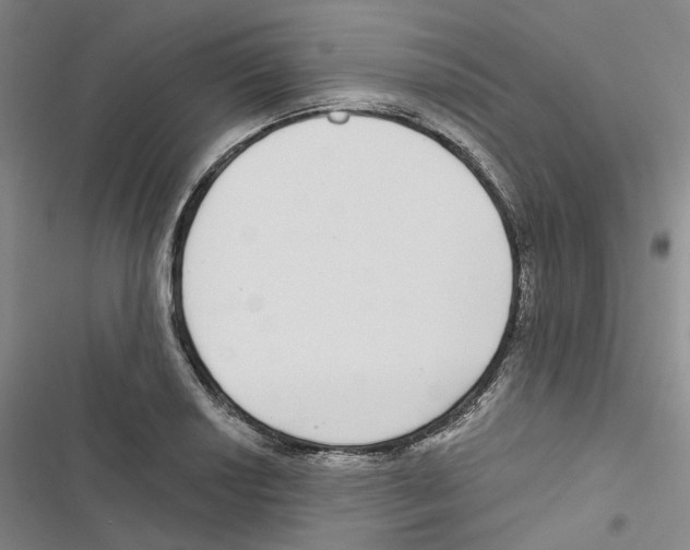 X0000116891034201001191801