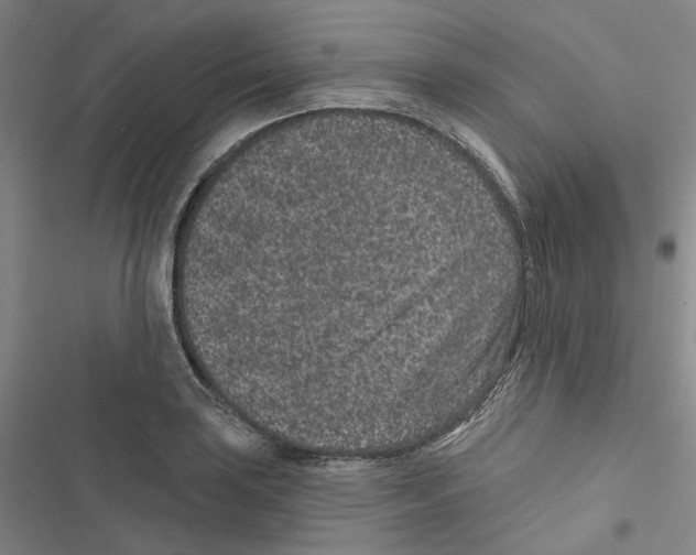 X0000116891035201001191801