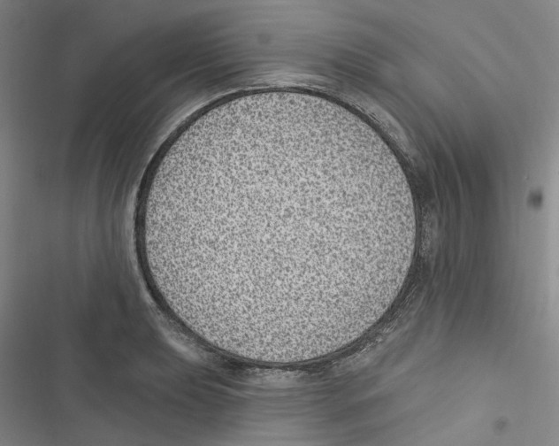 X0000116891039201001191801