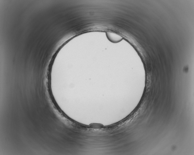 X0000116891042201001191801