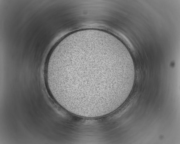 X0000116891043201001191801