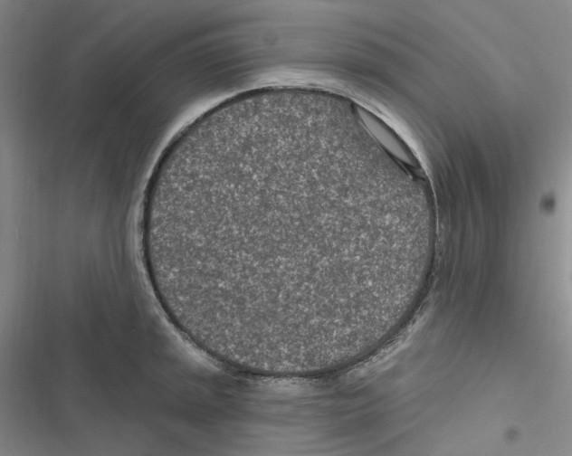 X0000116891045201001191801