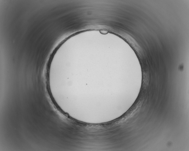 X0000116891046201001191801