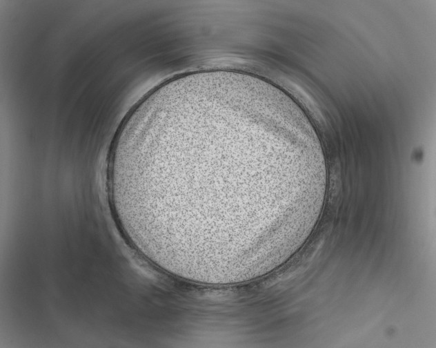 X0000116891047201001191801