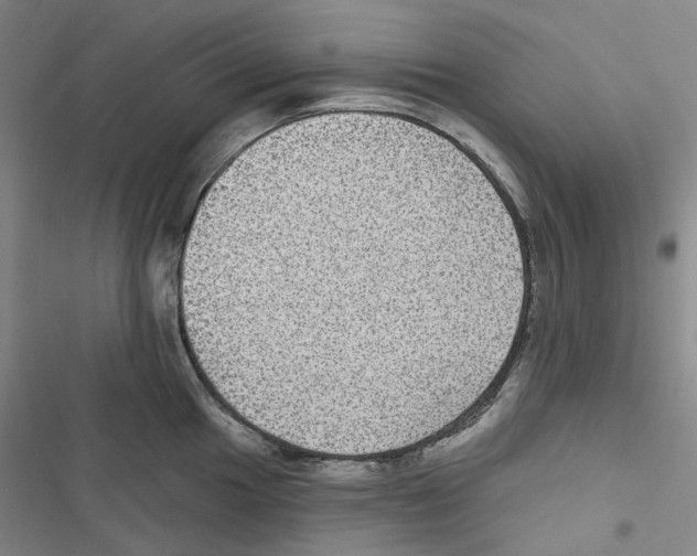 X0000116891049201001191801