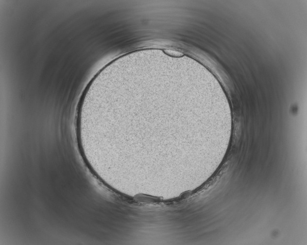 X0000116891050201001191801