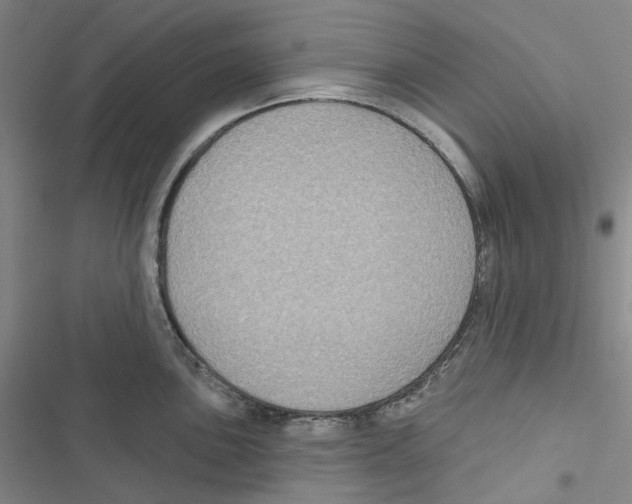 X0000116891051201001191801