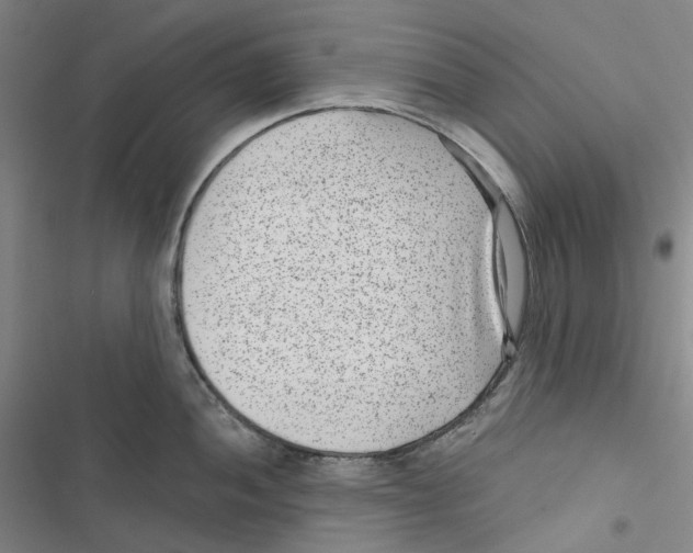 X0000116891052201001191801