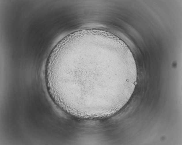 X0000116891055201001191801