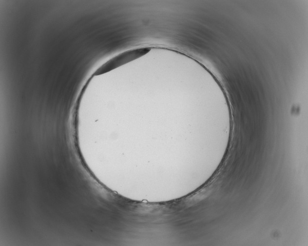 X0000116891056201001191801