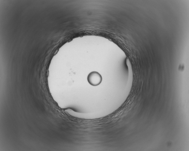 X0000116891057201001191801