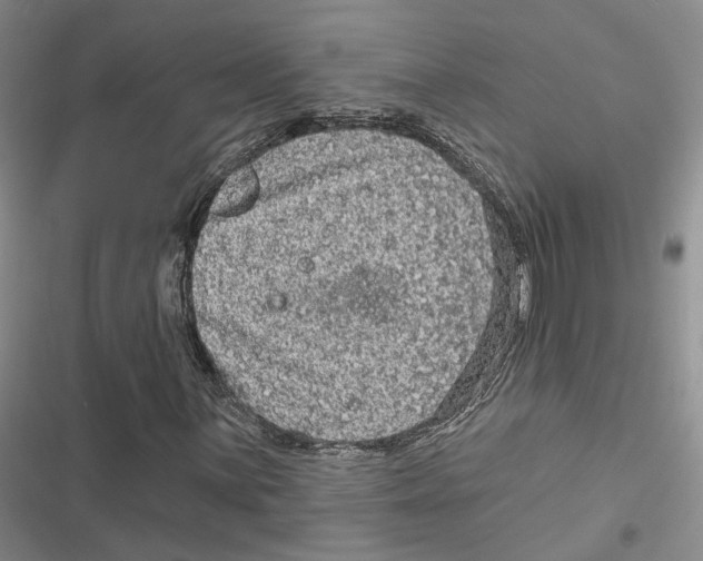 X0000116891059201001191801