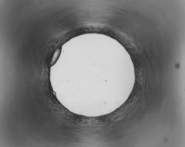 X0000116891061201001191801