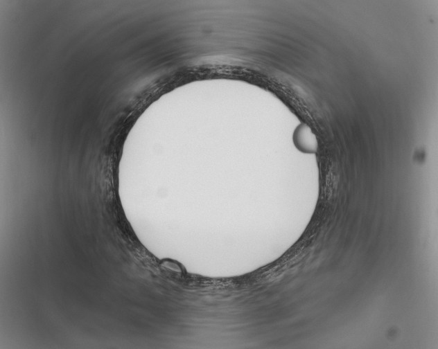 X0000116891062201001191801