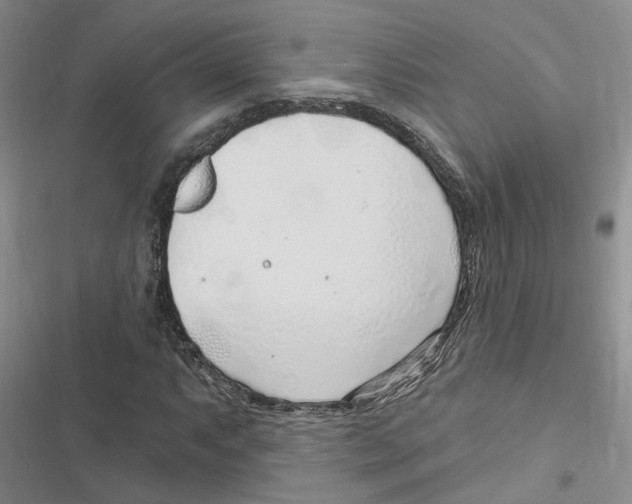 X0000116891063201001191801