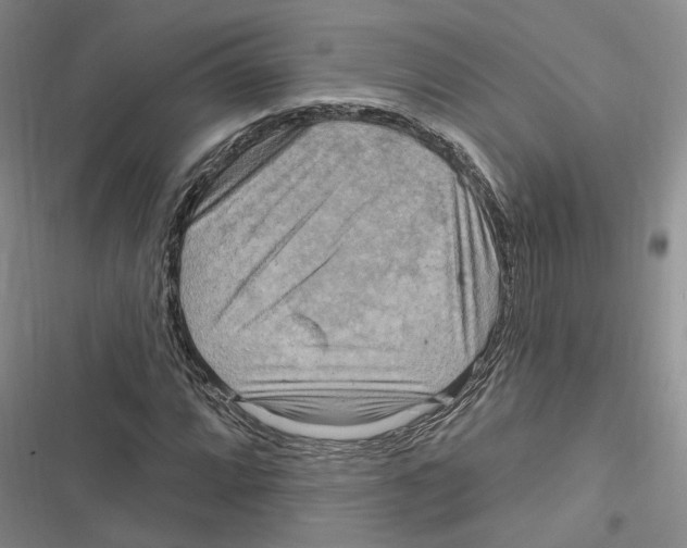 X0000116891064201001191801