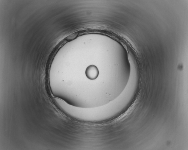 X0000116891065201001191801