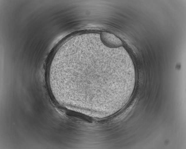 X0000116891066201001191800