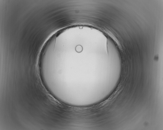 X0000116891068201001191800