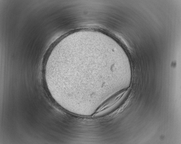 X0000116891071201001191800