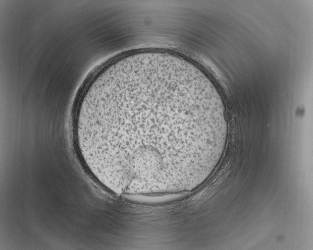 X0000116891072201001191800