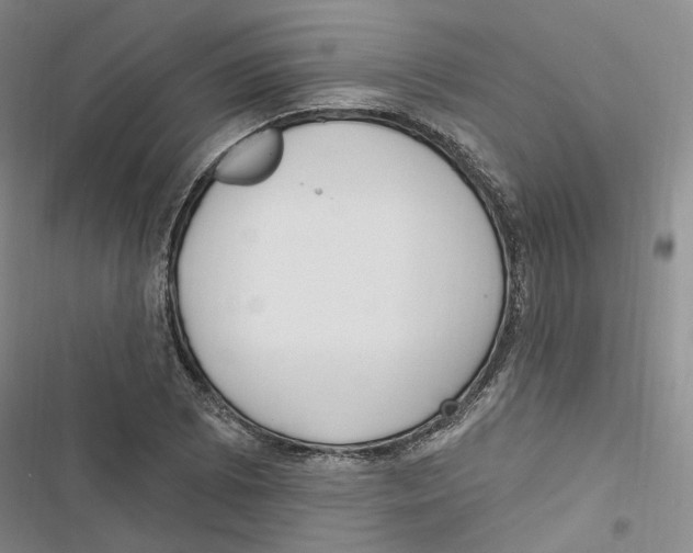 X0000116891073201001191800