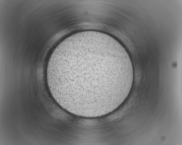 X0000116891074201001191800