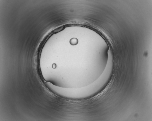 X0000116891075201001191800