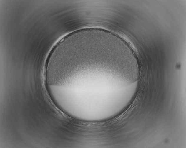 X0000116891076201001191800