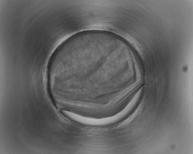 X0000116891077201001191800