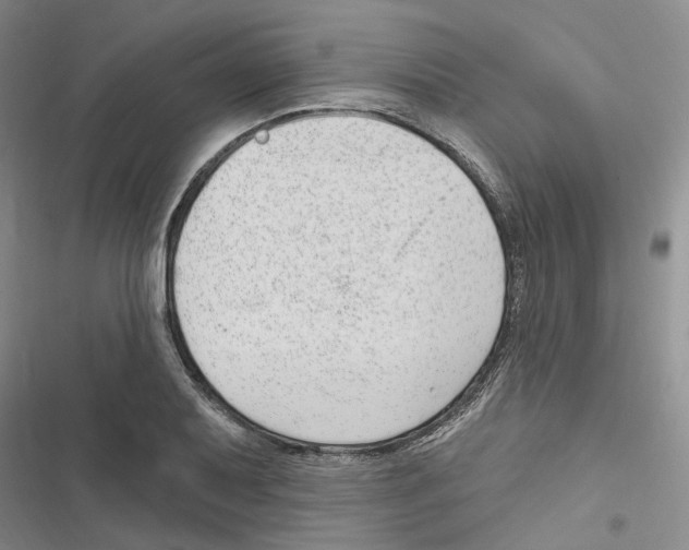 X0000116891079201001191800