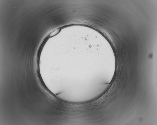 X0000116891080201001191800