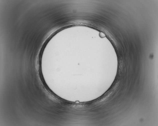 X0000116891082201001191800