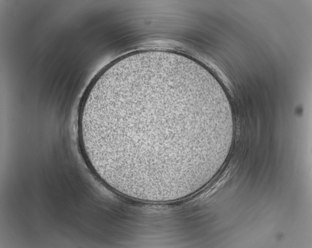 X0000116891083201001191800