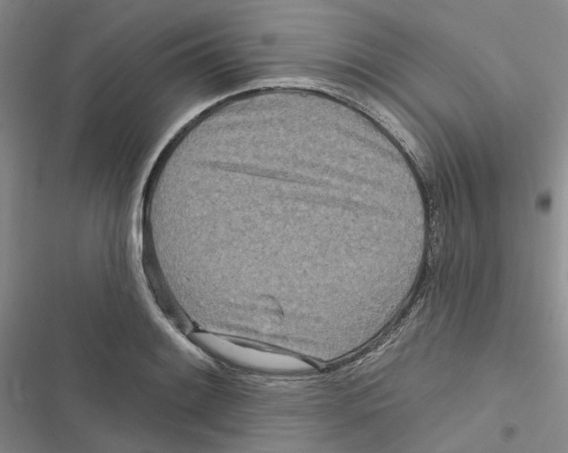 X0000116891084201001191800